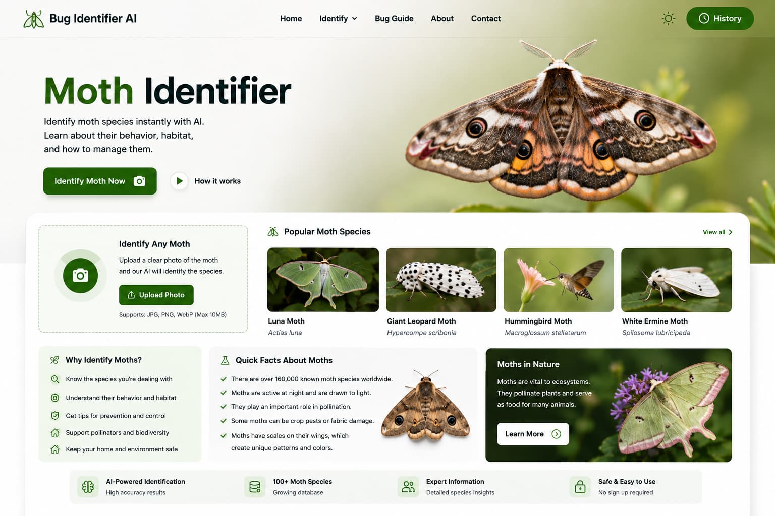 Moth identification using AI