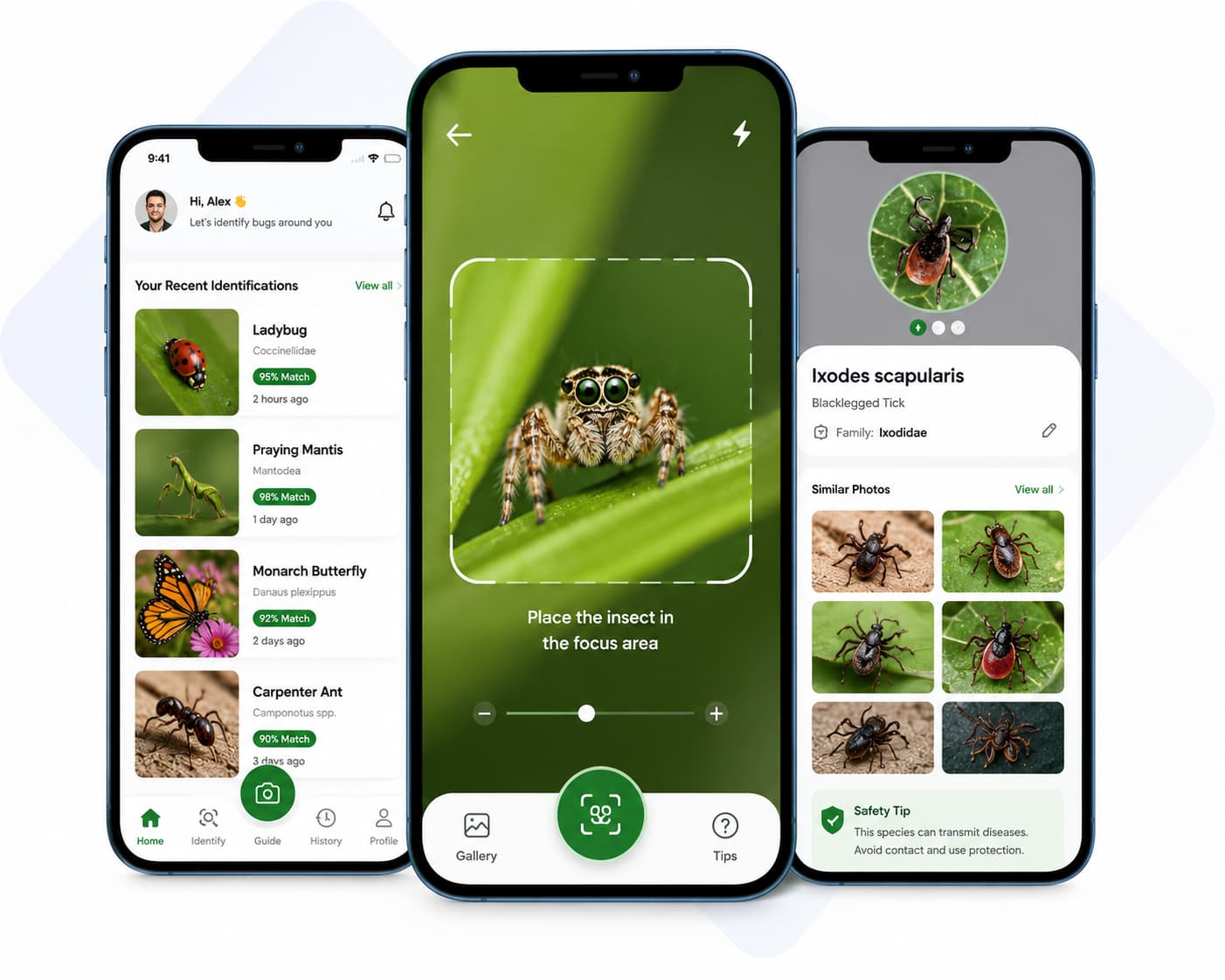 Spider identification using AI