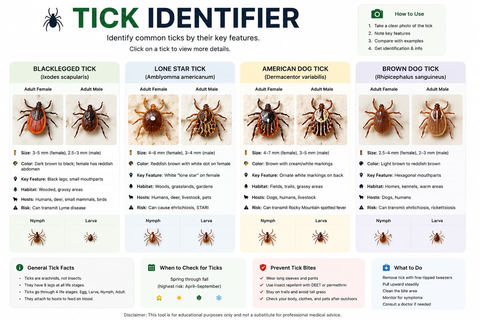 Tick identification using AI